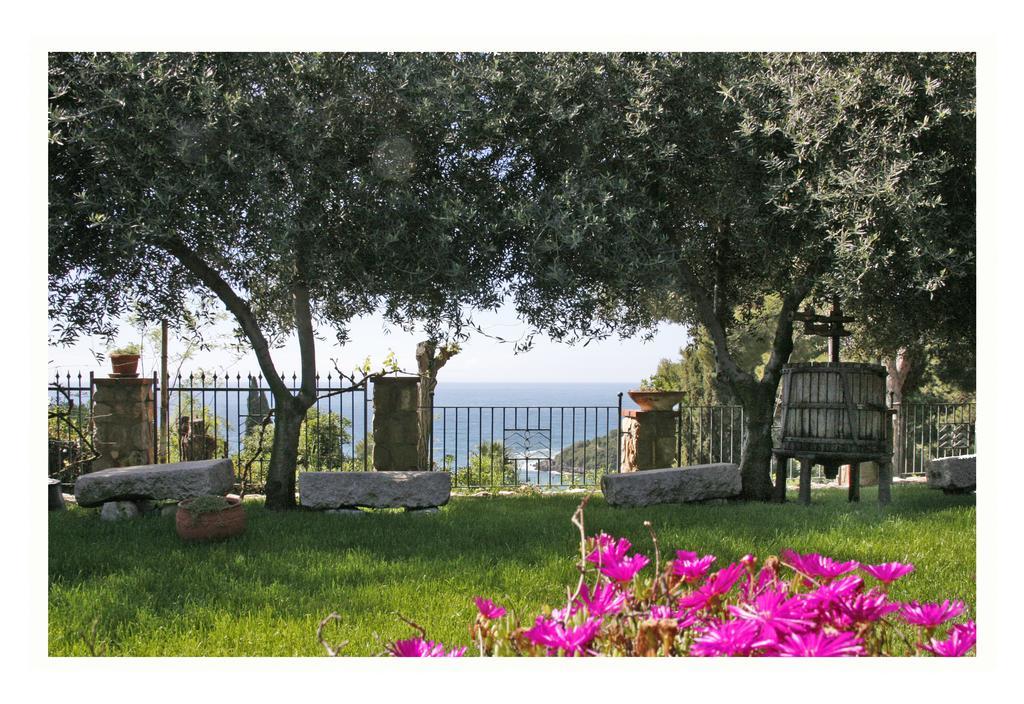 Villa Michela Tra Cielo E Mare Гаета Номер фото